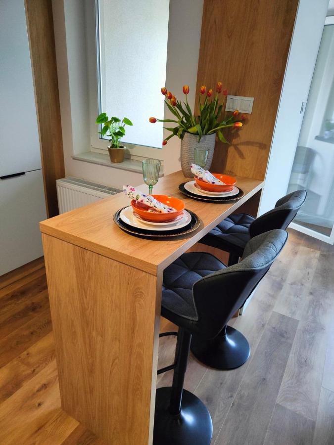 Apartament Tatarska プシェムィシル エクステリア 写真